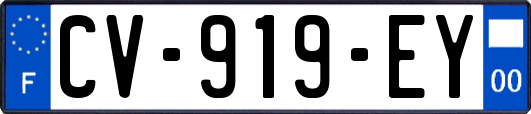 CV-919-EY