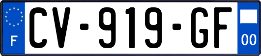 CV-919-GF