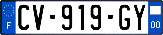 CV-919-GY