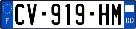 CV-919-HM