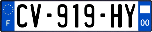 CV-919-HY