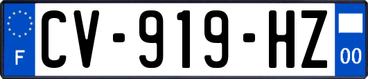 CV-919-HZ