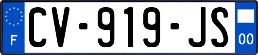 CV-919-JS