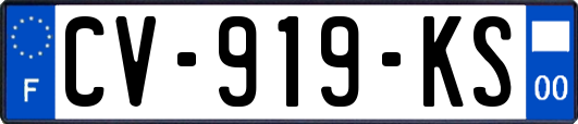 CV-919-KS