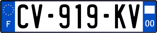 CV-919-KV