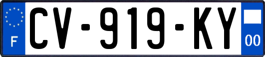 CV-919-KY