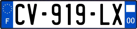 CV-919-LX