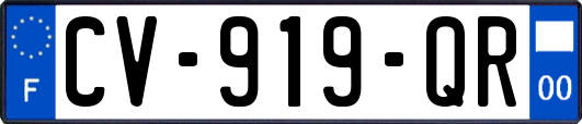 CV-919-QR