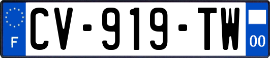 CV-919-TW