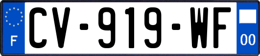CV-919-WF
