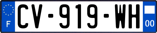 CV-919-WH