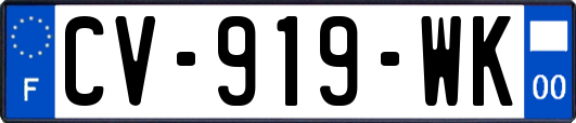 CV-919-WK