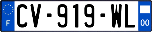 CV-919-WL