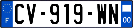 CV-919-WN