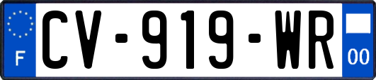 CV-919-WR