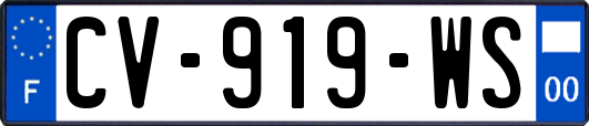 CV-919-WS