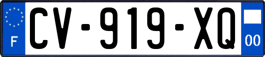 CV-919-XQ