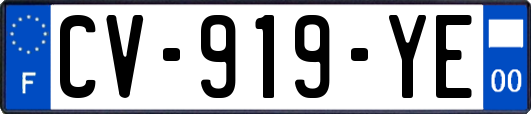 CV-919-YE
