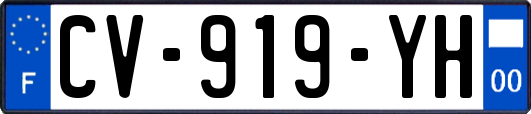 CV-919-YH