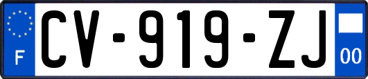 CV-919-ZJ