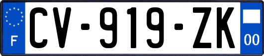 CV-919-ZK