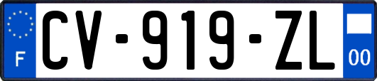 CV-919-ZL