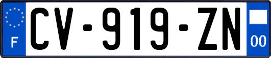 CV-919-ZN