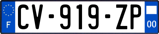 CV-919-ZP