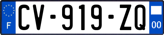 CV-919-ZQ