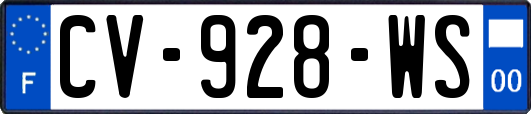 CV-928-WS