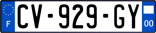 CV-929-GY