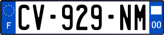 CV-929-NM