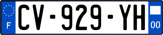 CV-929-YH