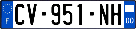 CV-951-NH