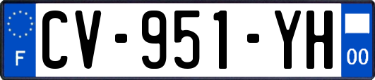 CV-951-YH