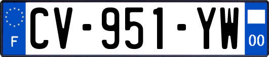 CV-951-YW