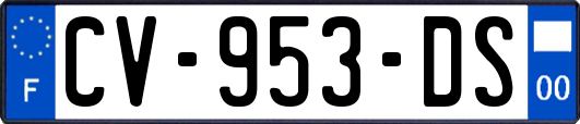 CV-953-DS