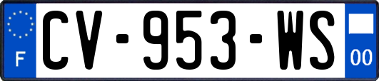 CV-953-WS
