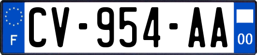CV-954-AA