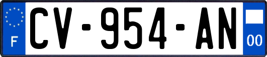 CV-954-AN