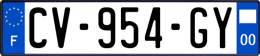 CV-954-GY