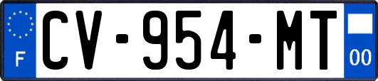 CV-954-MT