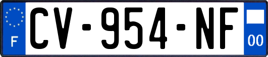 CV-954-NF