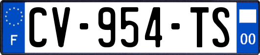 CV-954-TS