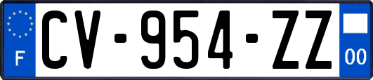 CV-954-ZZ