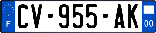 CV-955-AK