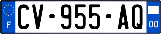 CV-955-AQ