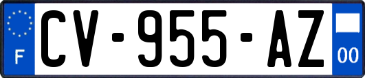 CV-955-AZ