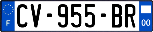 CV-955-BR
