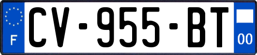 CV-955-BT